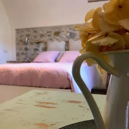 La Corte Di Candido